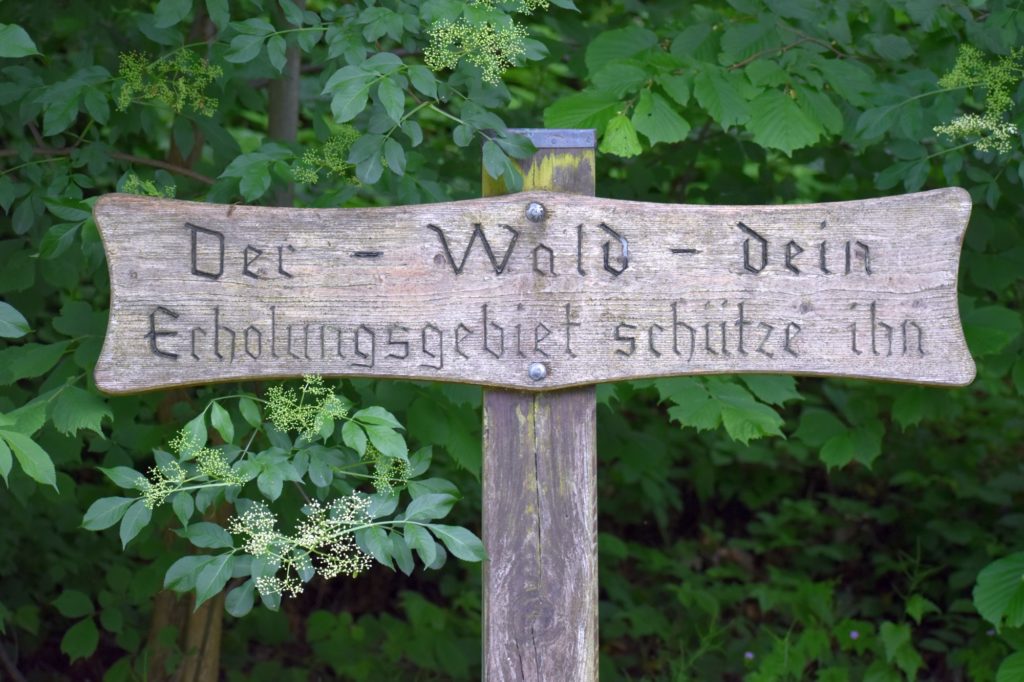 Der Wald